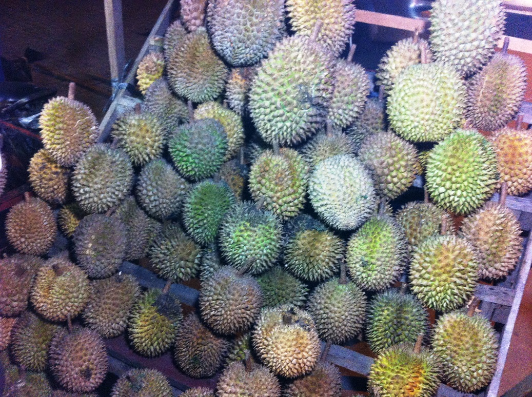 durian1