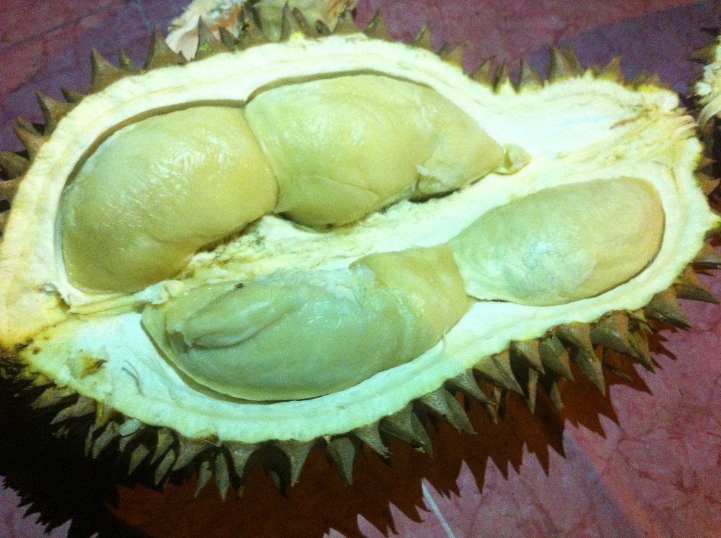 durian99